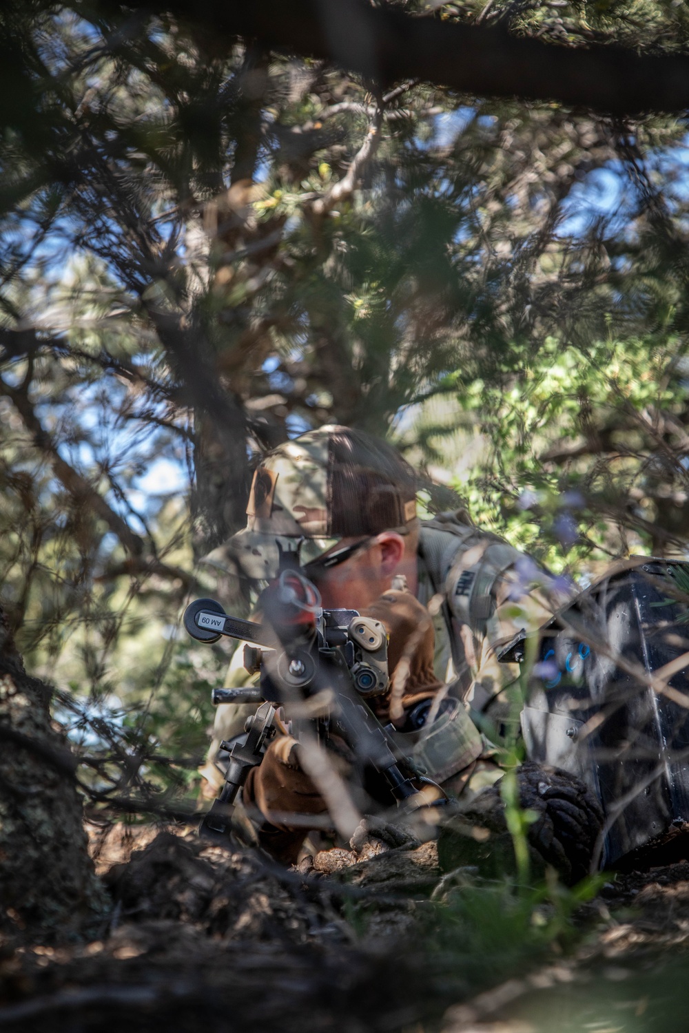 Ivy Mass: Working with allies