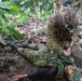 Pahlawan Warrior | Jungle FTX