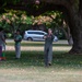 15th Wing Picnic at Vosler Park