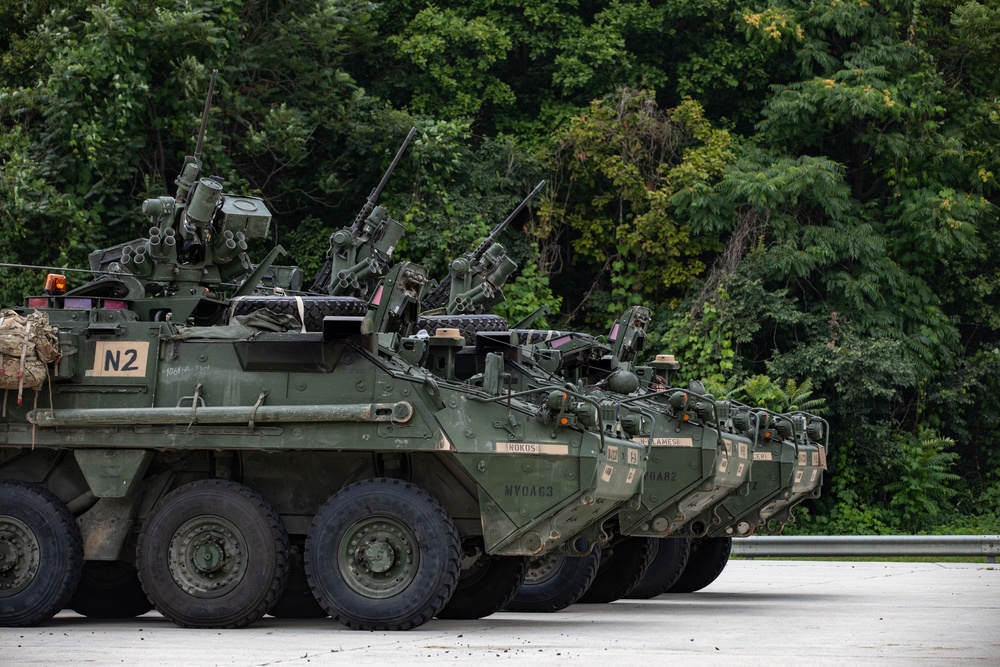 Joint Distribution Training