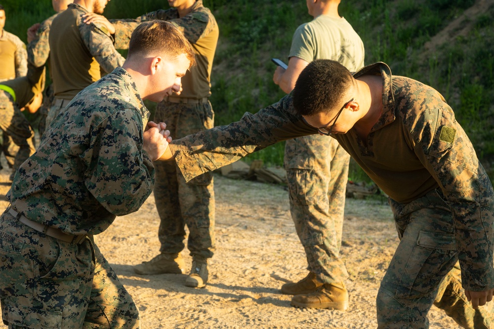 4th Marines execute Marine Corps Martial Arts training during Korea Viper 24.2