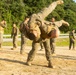 4th Marines execute Marine Corps Martial Arts training during Korea Viper 24.2