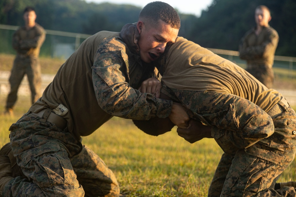 4th Marines execute Marine Corps Martial Arts training during Korea Viper 24.2