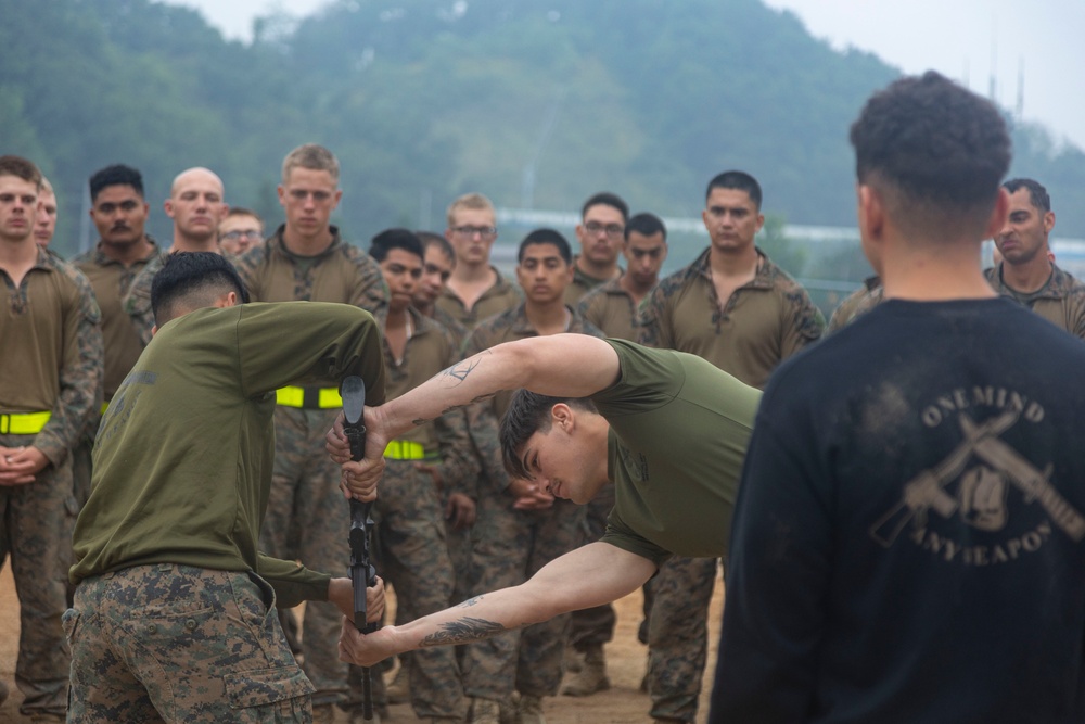 4th Marines execute Marine Corps Martial Arts training during Korea Viper 24.2