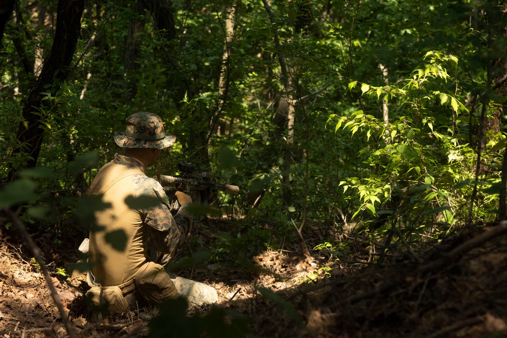 U.S. Marines execute squad maneuvers during Korea Viper 24.2