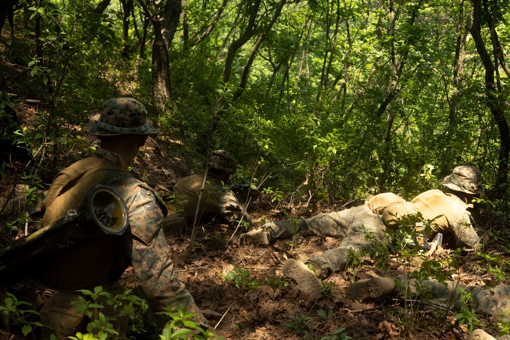 U.S. Marines execute squad maneuvers during Korea Viper 24.2