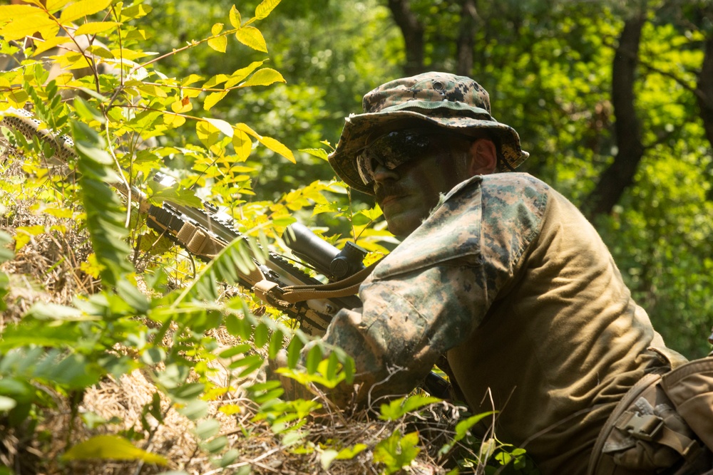 U.S. Marines execute squad maneuvers during Korea Viper 24.2