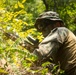 U.S. Marines execute squad maneuvers during Korea Viper 24.2