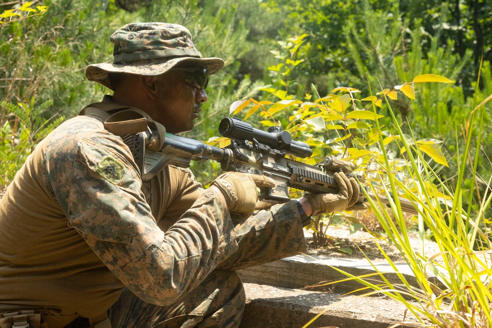 U.S. Marines execute squad maneuvers during Korea Viper 24.2