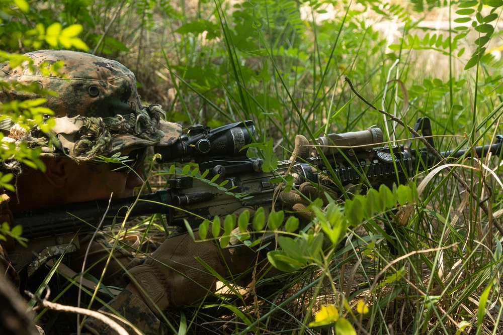 U.S. Marines execute squad maneuvers during Korea Viper 24.2