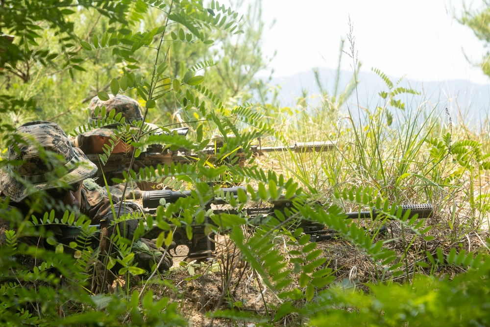 U.S. Marines execute squad maneuvers during Korea Viper 24.2