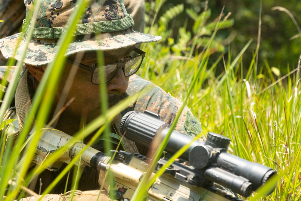 U.S. Marines execute squad maneuvers during Korea Viper 24.2