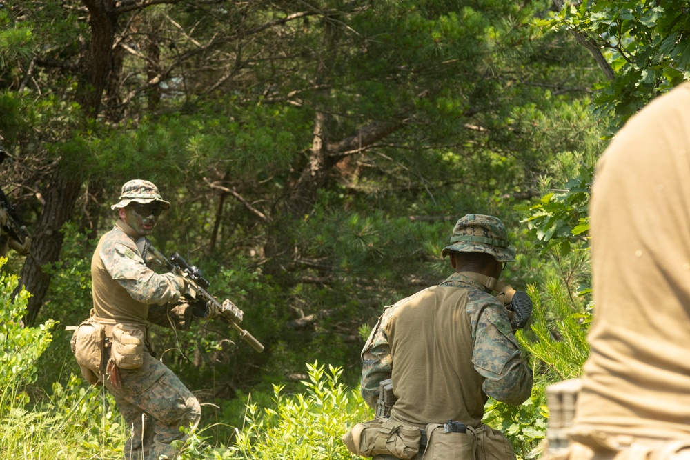 U.S. Marines execute squad maneuvers during Korea Viper 24.2