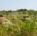 U.S. Marines execute squad maneuvers during Korea Viper 24.2