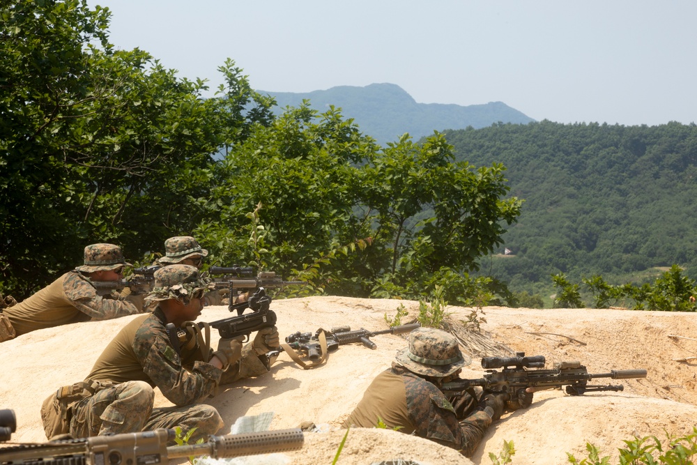 U.S. Marines execute squad maneuvers during Korea Viper 24.2