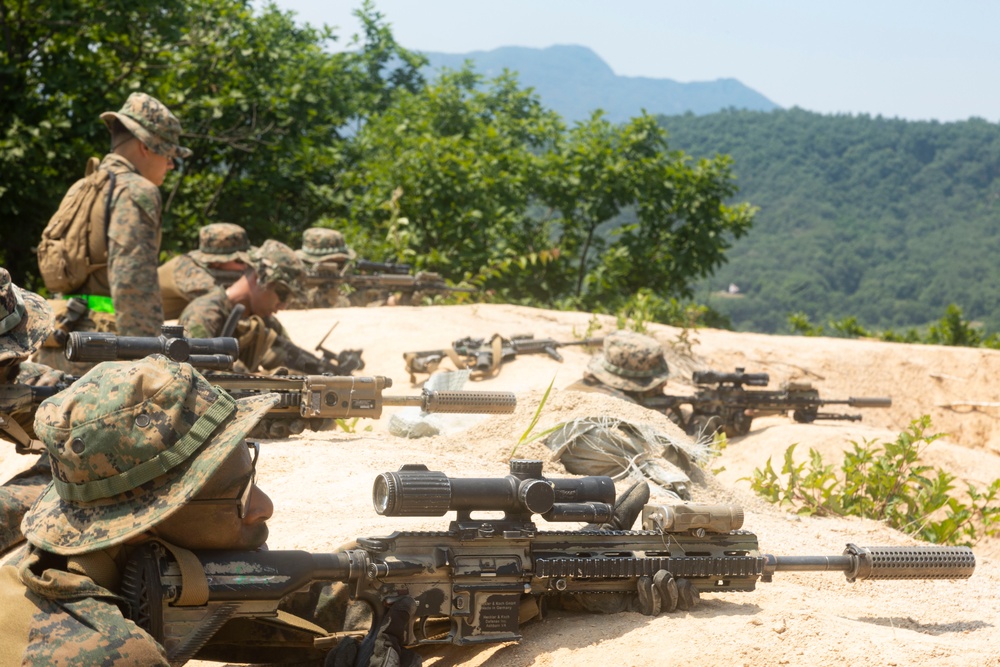 U.S. Marines execute squad maneuvers during Korea Viper 24.2