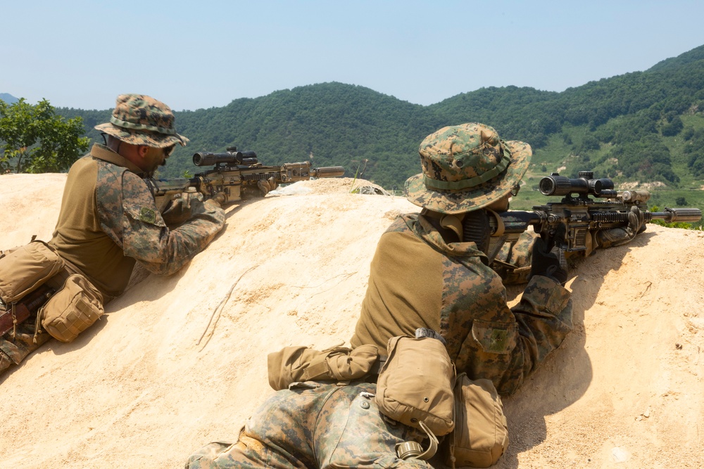 U.S. Marines execute squad maneuvers during Korea Viper 24.2