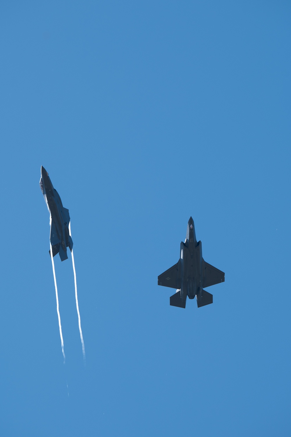 Liberty Wing fighters take to the skies