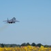 Liberty Wing fighters take to the skies