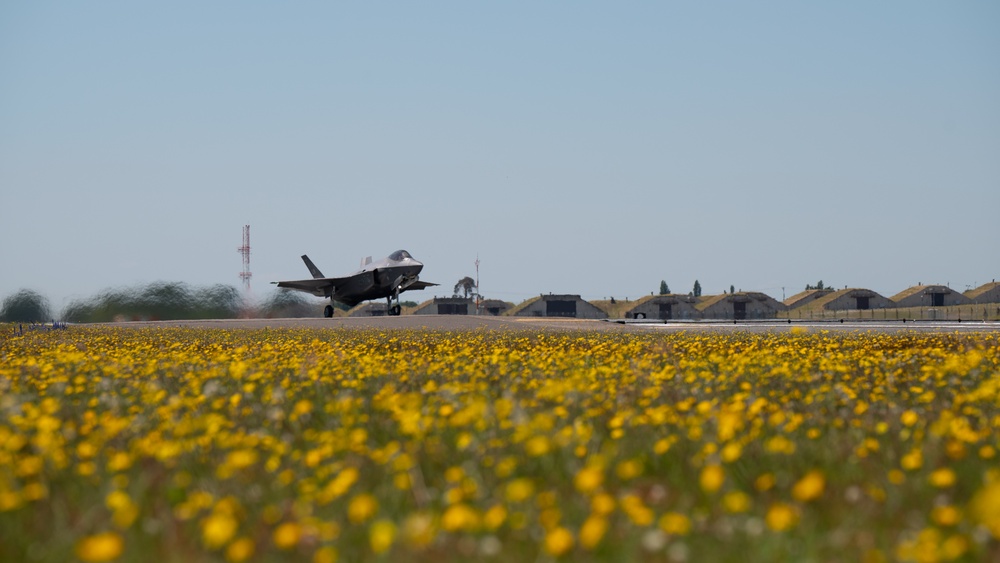 Liberty Wing fighters take to the skies