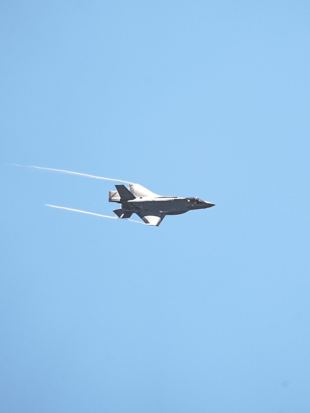 Liberty Wing fighters take to the skies