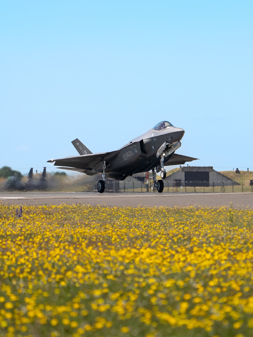 Liberty Wing fighters take to the skies