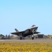 Liberty Wing fighters take to the skies