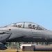 Liberty Wing fighters take to the skies
