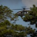 1-131st Aviation Regiment conducts aerial gunnery training at Camp Shelby