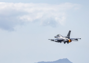 177th Fighter Wing Enhances Readiness in Sentry Aloha 24-2 Exercise
