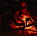 Combat medics use the M249 light machine gun during a field observational assessment