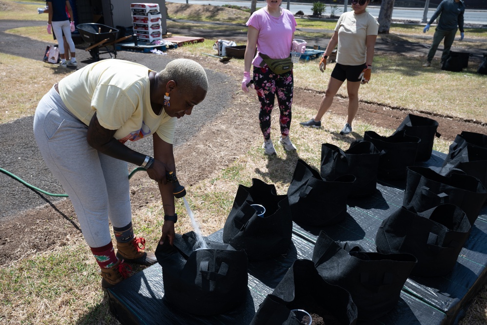 A growing community garden