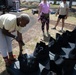 A growing community garden