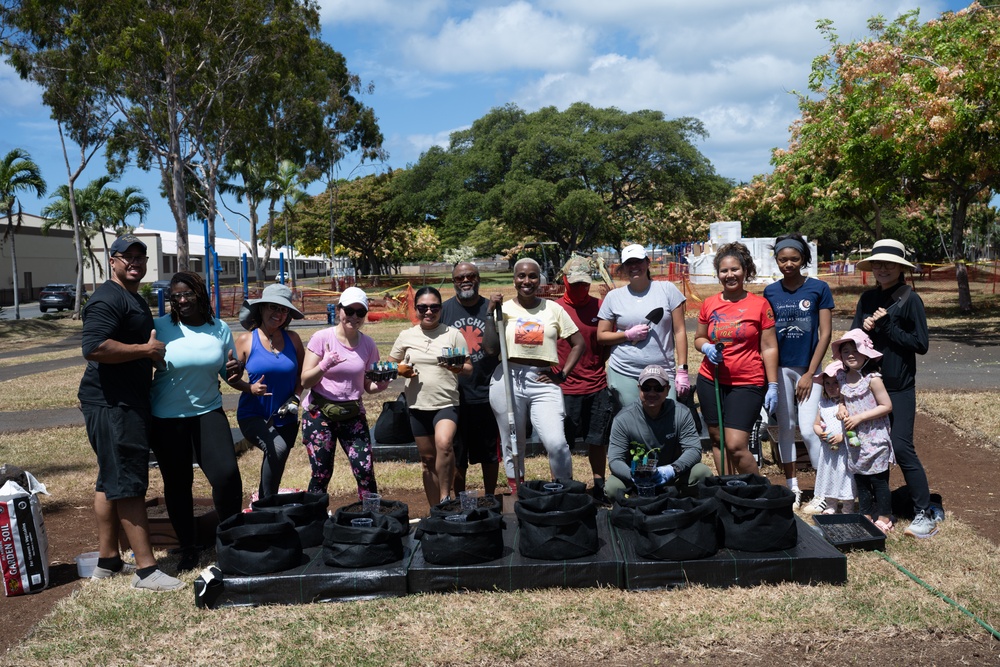 A growing community garden