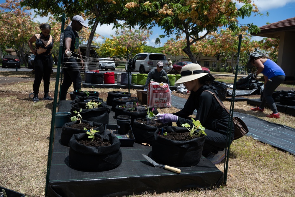 A growing community garden