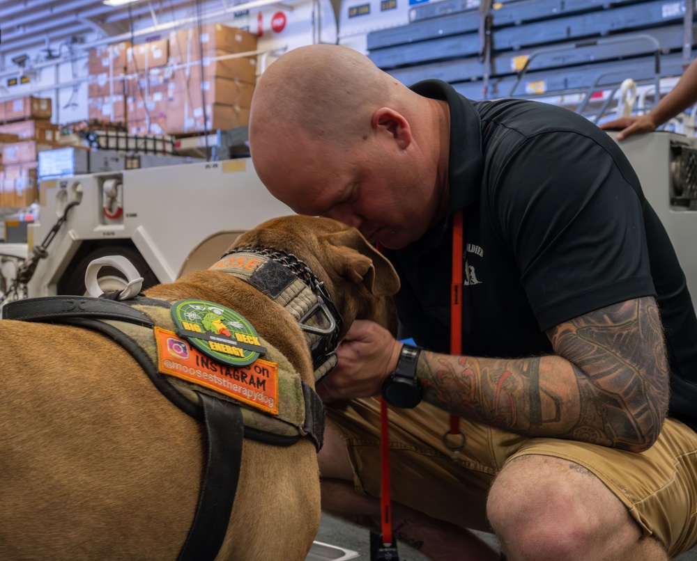 Boxer Welcomes Shelter to Soldier