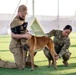 Army veterinary services, security forces, EOD conduct MWD TCCC training