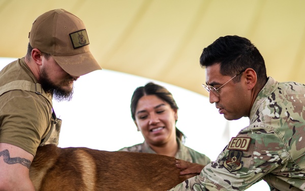 Army veterinary services, security forces, EOD conduct MWD TCCC training