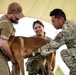 Army veterinary services, security forces, EOD conduct MWD TCCC training