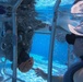 Marines with III MEF conduct Underwater Egress Training