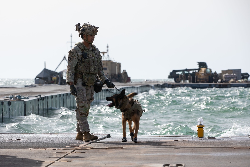 Military Working Dog Handler Provides Security to Trident Pier