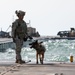 Military Working Dog Handler Provides Security to Trident Pier