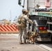 Military Working Dog Handler Provides Security to Trident Pier