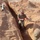 Commentary: 1st Expeditionary Theater Support Group (ETSG) Commentary: 1st Expeditionary Theater Support Group (ETSG)