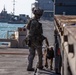 Military Working Dog Handler Provides Security to Trident Pier