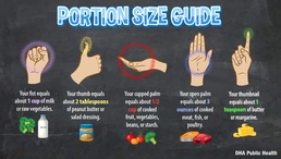 Portion Size Guide