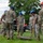 422nd CS and 422nd SFS team up for a Tiger Challenge