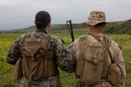 Twins of the Blue Diamond