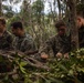 12th MLR Marines Execute Jungle Survival Training and Rehearse Tactical Combat Casualty Care at JWTC