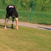 2024 DOD Warrior Games